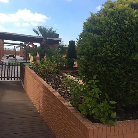 3 * San Vicente Raspeig